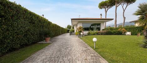 A paved pathway leading to a modern house with a large window, surrounded by well-maintained hedges and a grassy lawn.