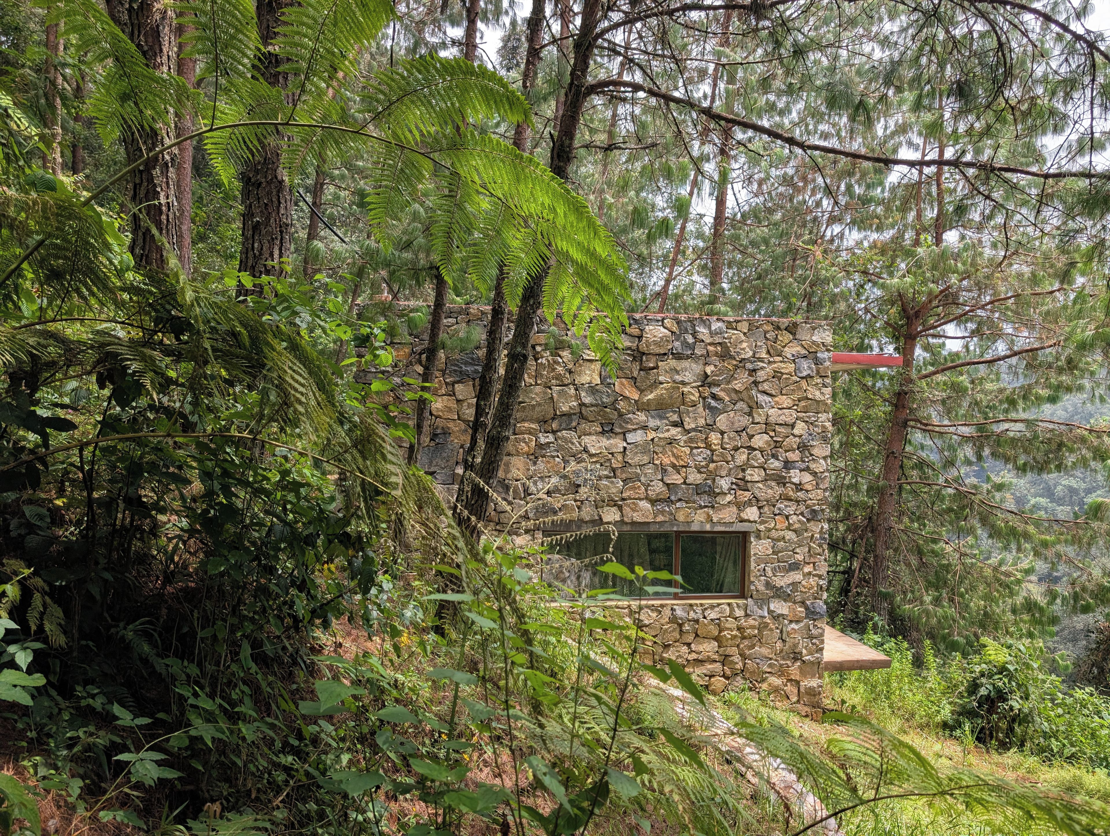 Un edificio de piedra con una ventana, rodeado de un bosque frondoso.