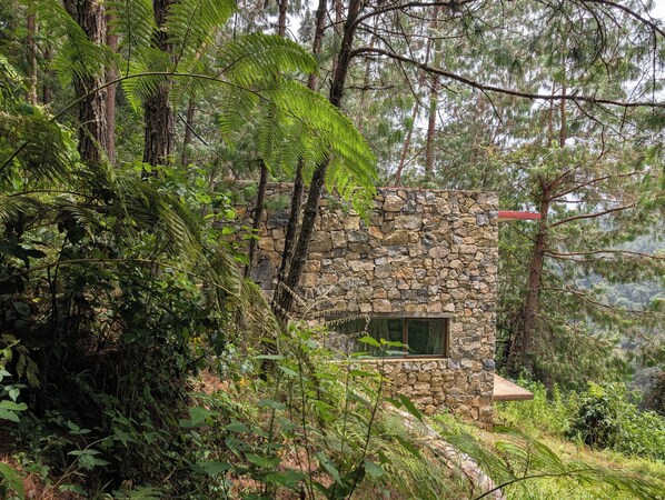 A stone building with a window, surrounded by dense forest.