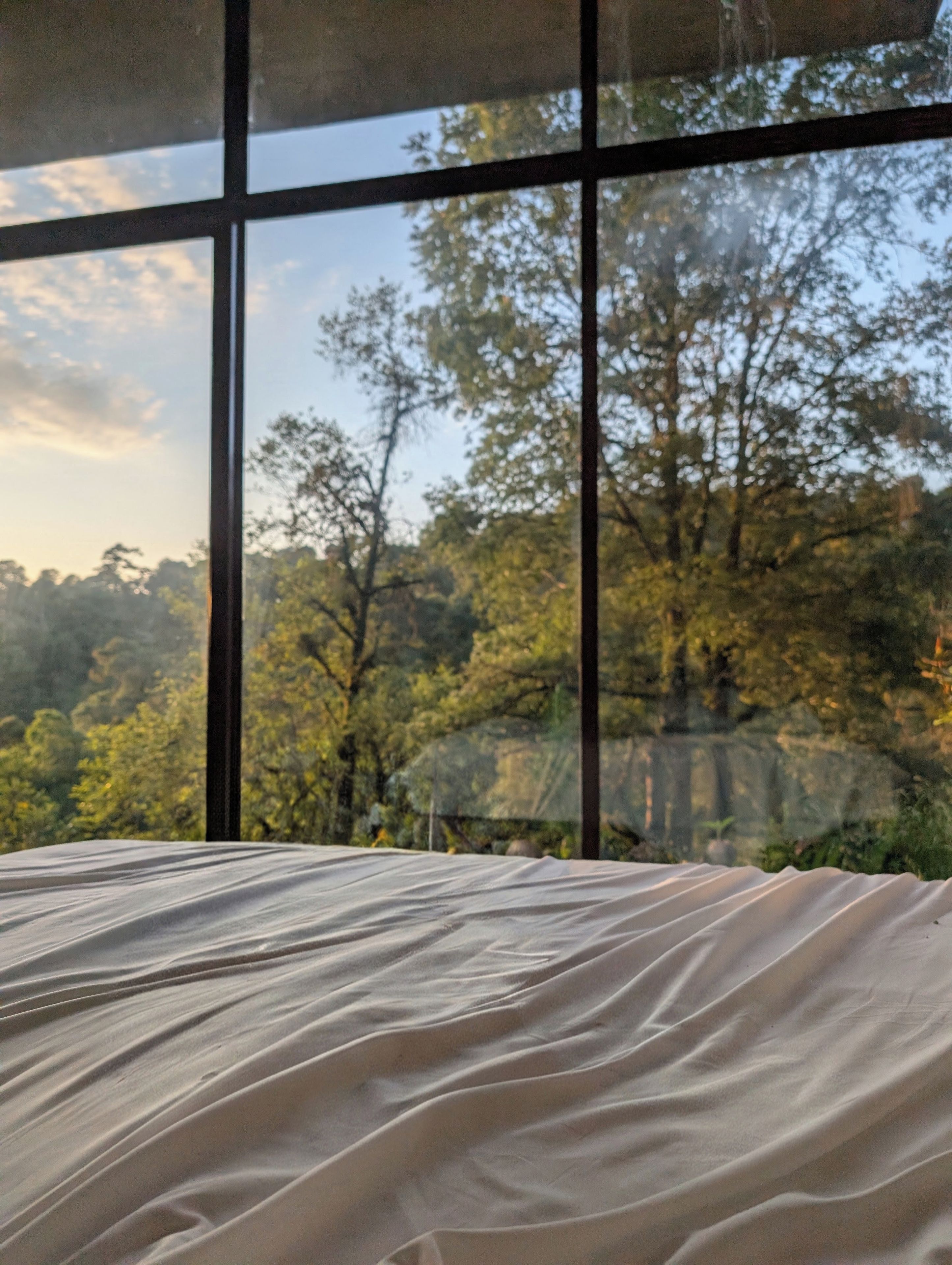 Quarto com uma grande janela com vista para uma área arborizada.