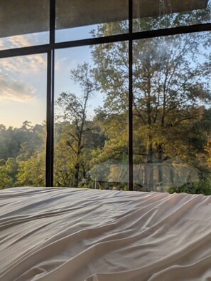 A room with a large window overlooking a forested area.