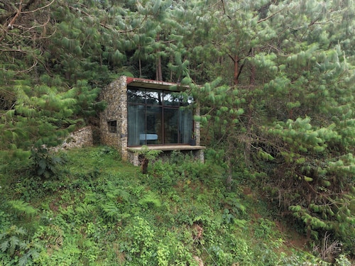 Sintrópico