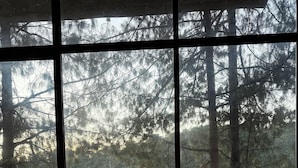 Room - Sintrópico (Huauchinango)