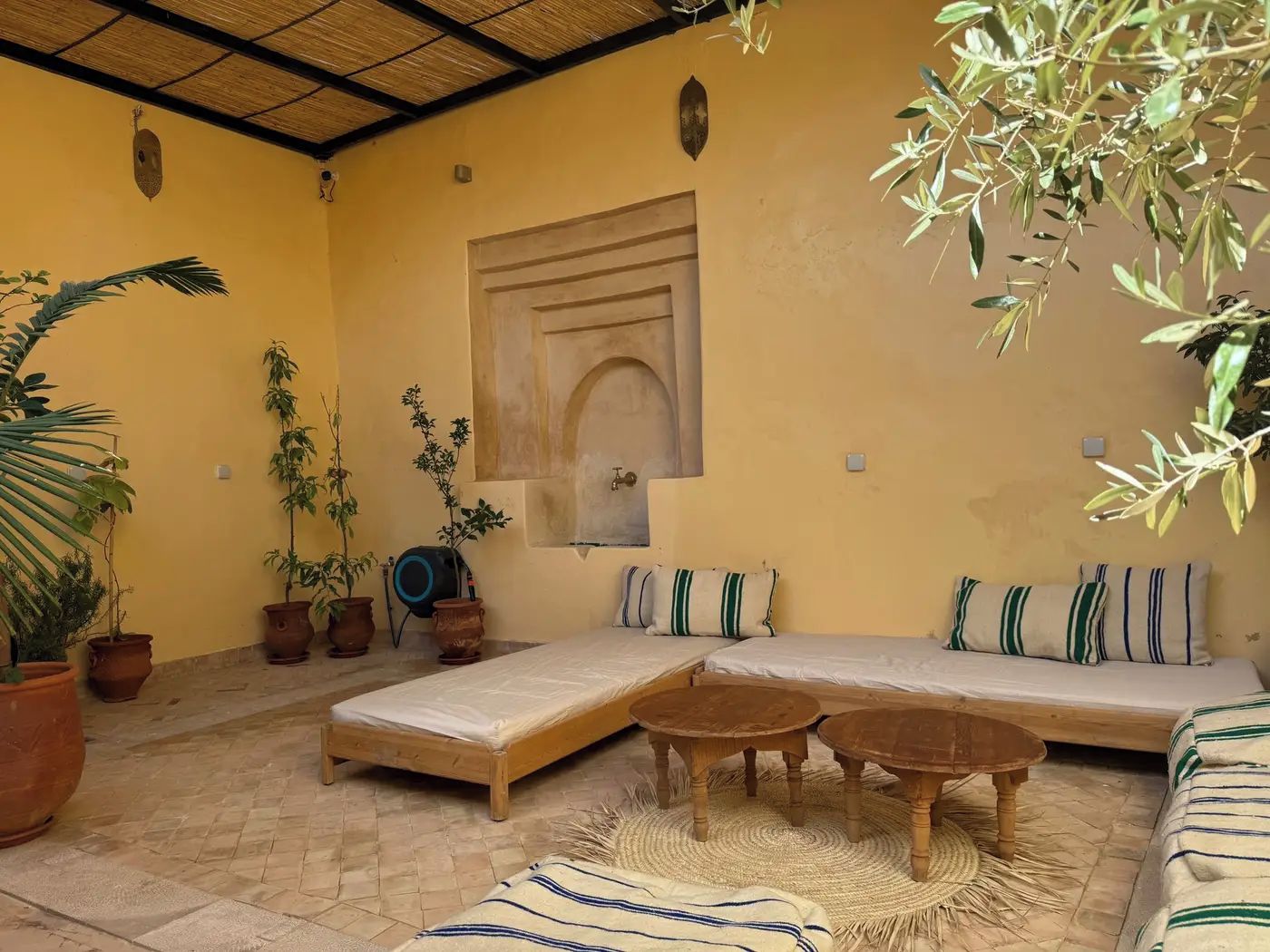 Una habitación con sofá, dos mesas de madera, un colchón y plantas en macetas.