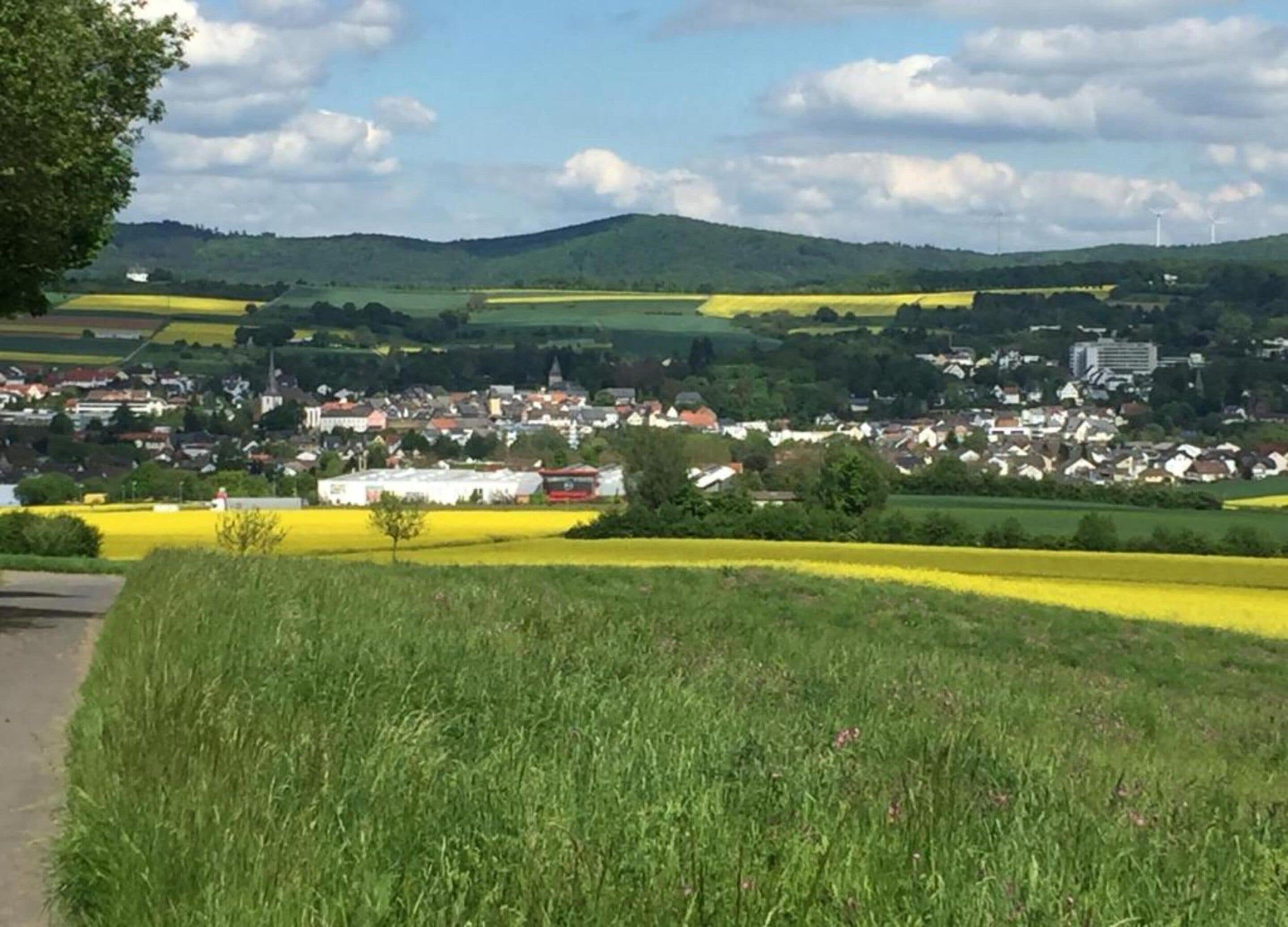 Un paysage rural avec des champs de fleurs jaunes, une ville en arrière-plan et des éoliennes sur les collines.