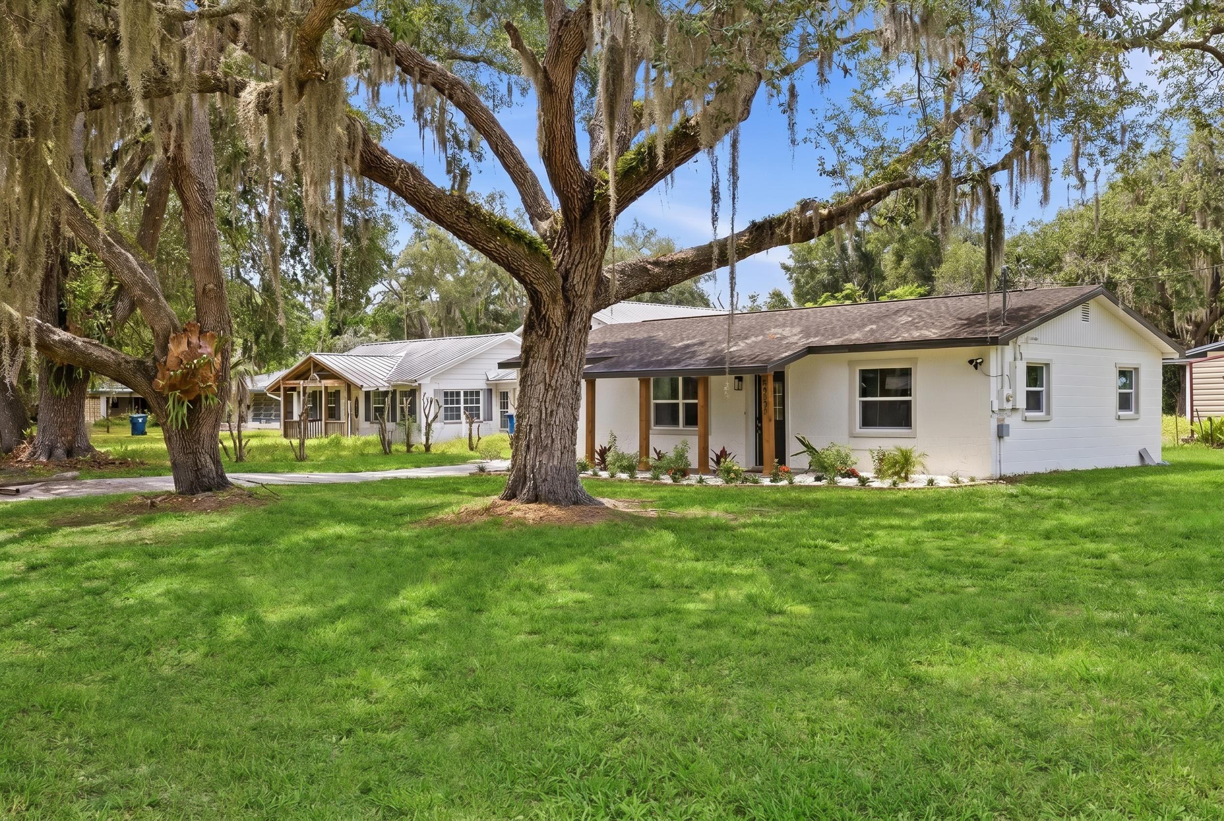A residential property with a large tree, a white house, and a well-maintained lawn.