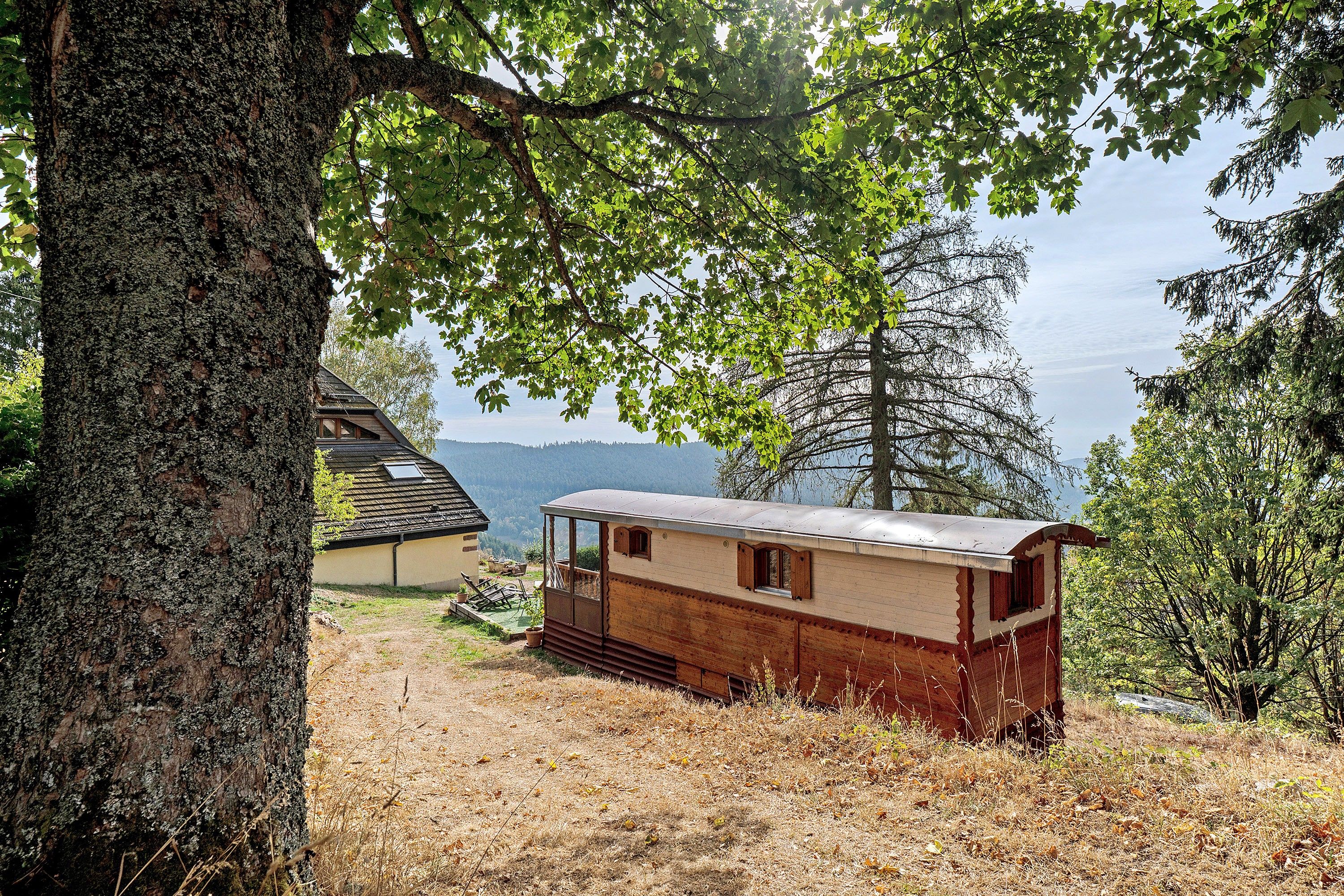 A rustic cabin with a sloped roof, situated in a forested area with a view of a lake.