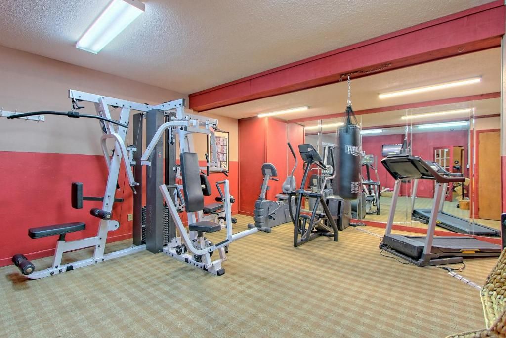 Un gimnasio con diversos equipos de ejercicio, un saco de boxeo y una cinta de correr.