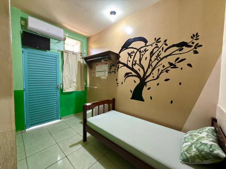 Una habitación con una cama, un mural en la pared, una puerta verde y una ventana con cortina.