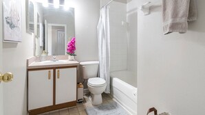 Bathroom - Amazing 3br-3ba home in desirable Meadow Pointe (Wesley Chapel)