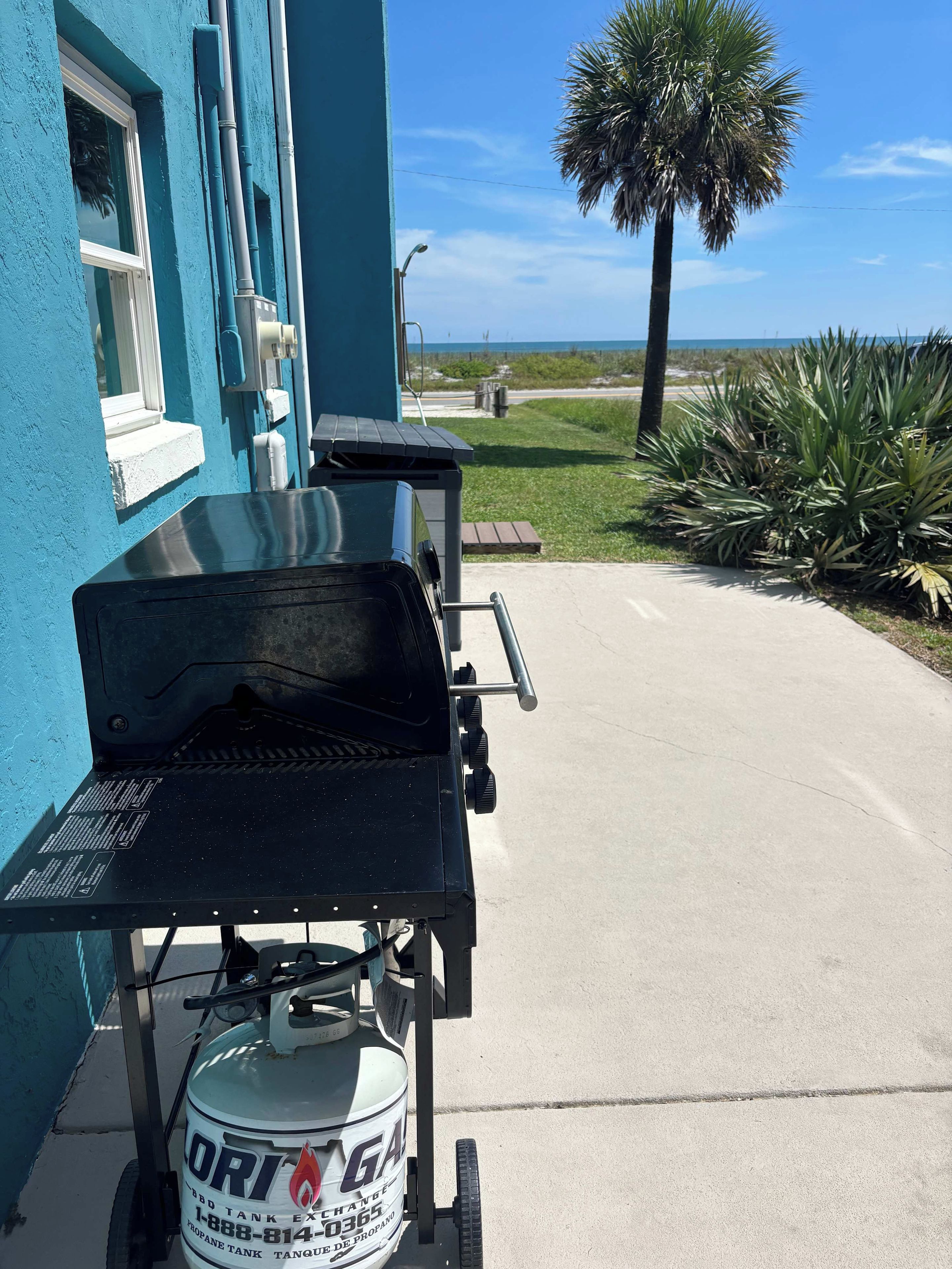 Una griglia da barbecue con bombola di propano, posizionata di fronte a un edificio blu con una finestra e una palma sullo sfondo.