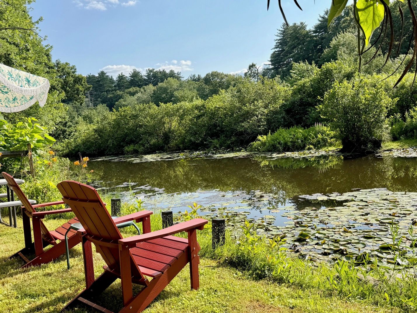 Un espace extérieur paisible, aménagé avec des chaises en bois et offrant une vue sur un étang bordé d’une végétation luxuriante.