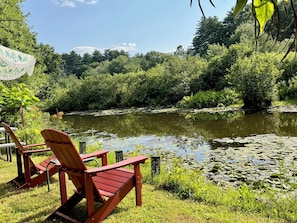 Un espacio tranquilo al aire libre con sillas de madera y vistas a un estanque rodeado de abundante vegetación.