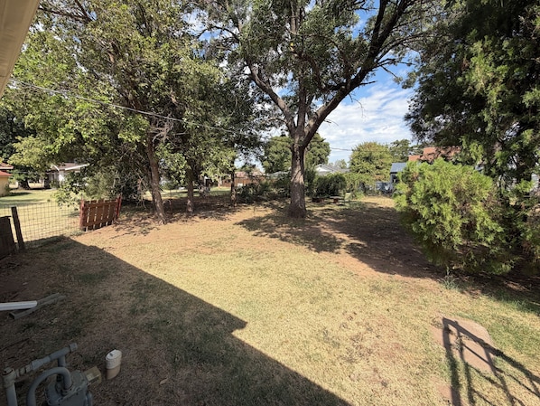 A backyard with a large tree, a wooden fence, and a grassy area.