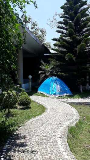 A pathway leading to a blue tent in a garden area with a building in the background.