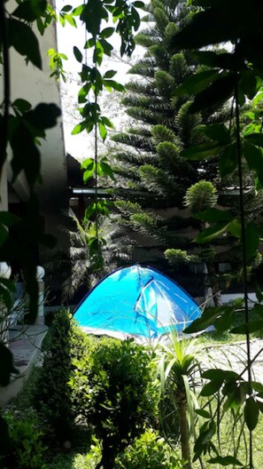 A blue umbrella in a garden with dense foliage and a building in the background.