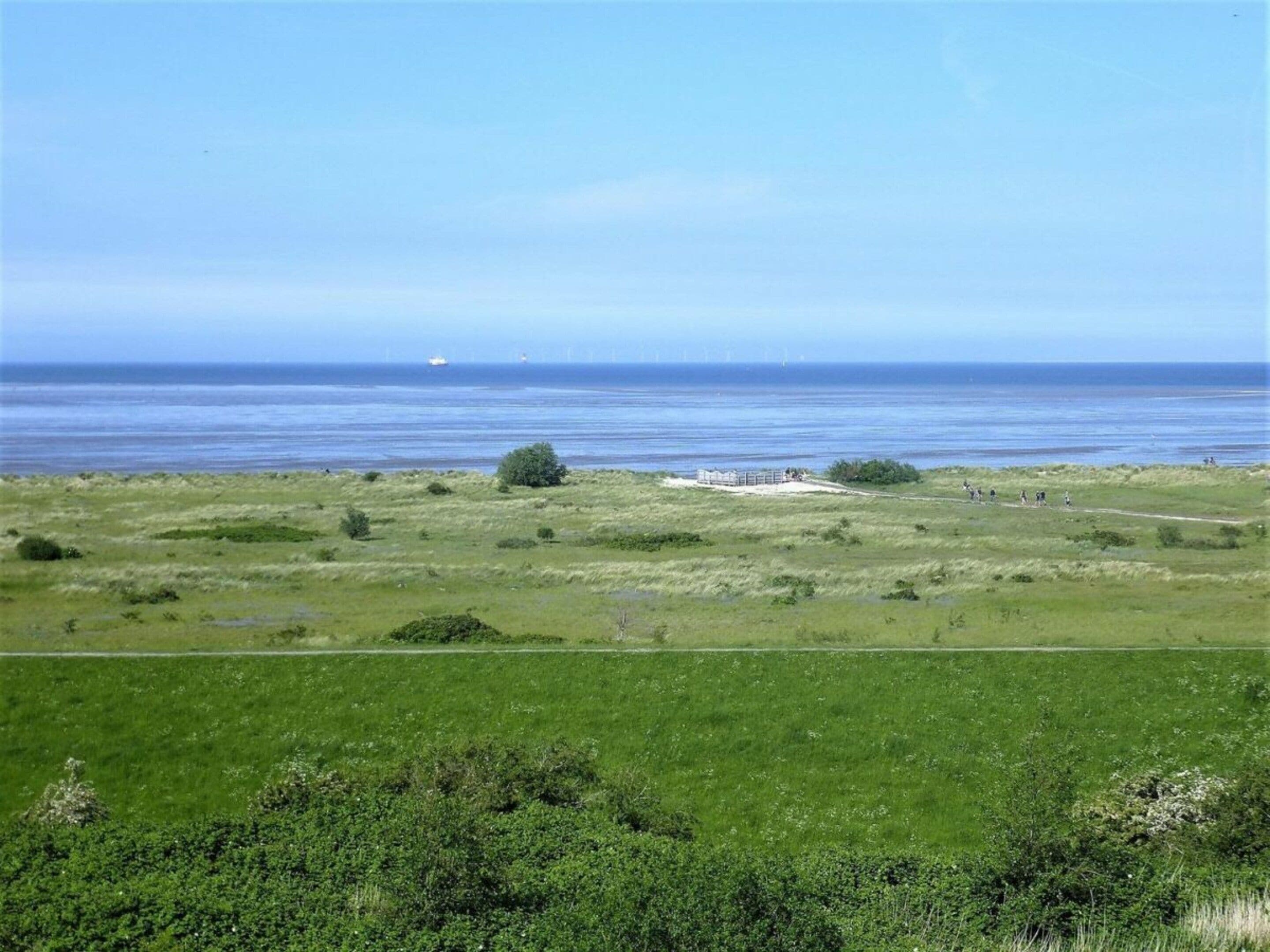 A coastal landscape with a grassy field, a small building, and the ocean in the background.