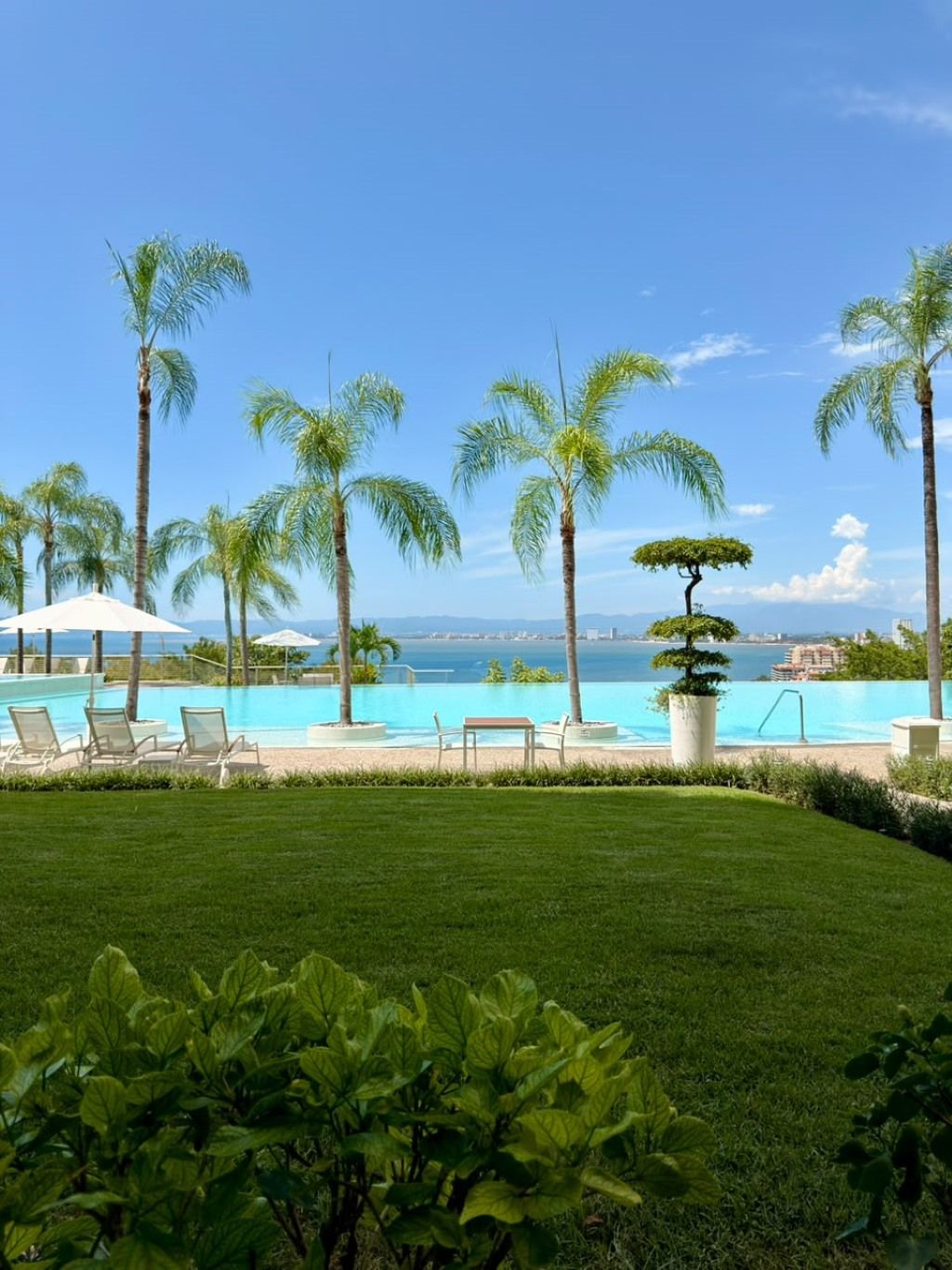 Área da piscina com espreguiçadeiras e guarda-sóis, cercada por palmeiras e vista para o oceano.