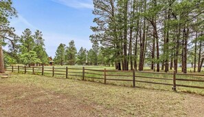 A fenced outdoor area with tall trees and a clear sky. - Serenity Lodge:5BR w/AC,5 Min/Town/Golf/Train (Williams)