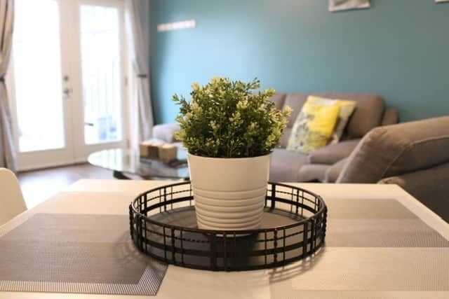 Fernseher, Kamin