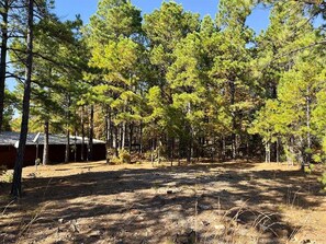 A forested area with a cabin and a clear sky.