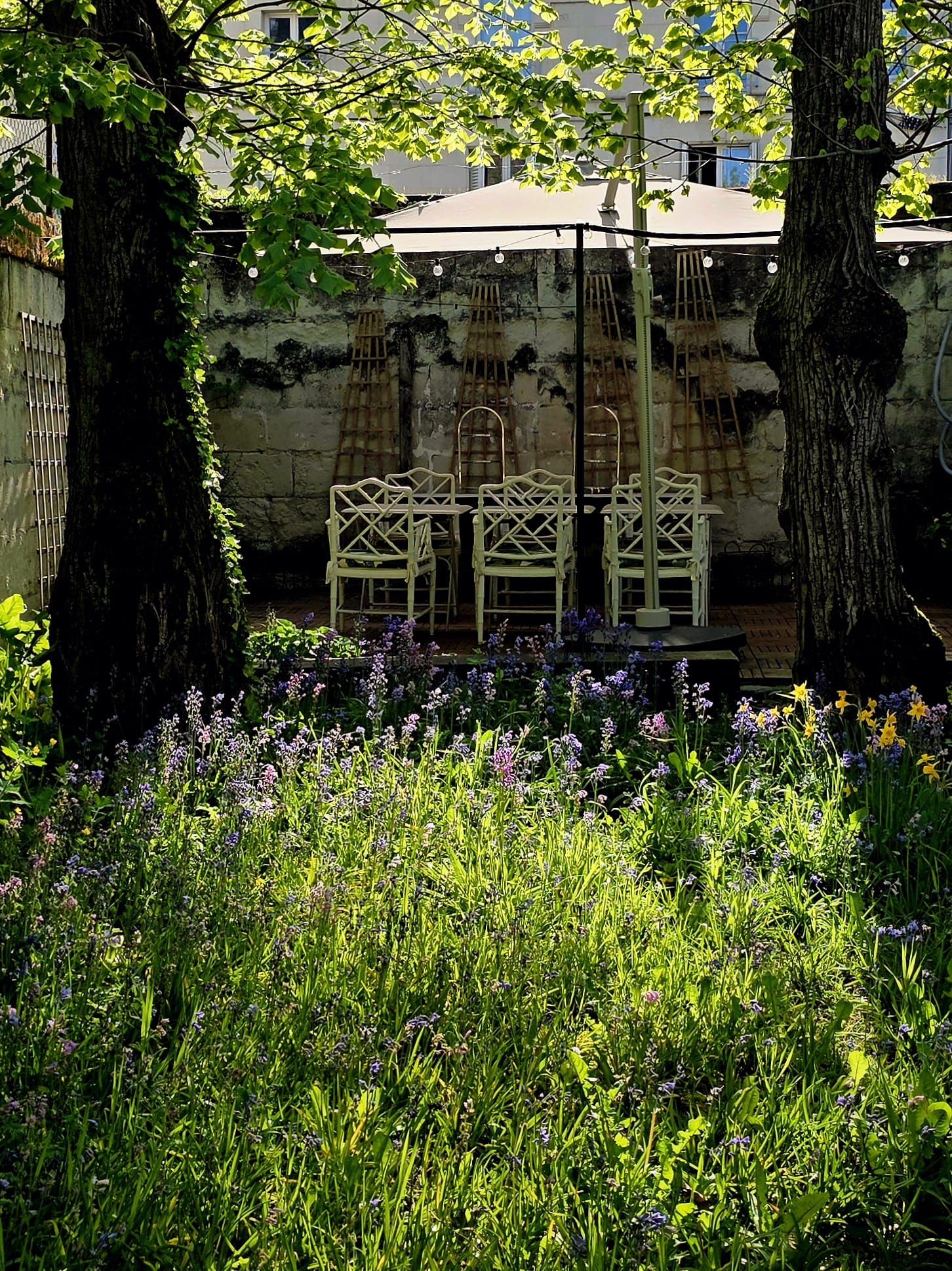 A garden with a table and chairs, surrounded by trees and flowering plants.