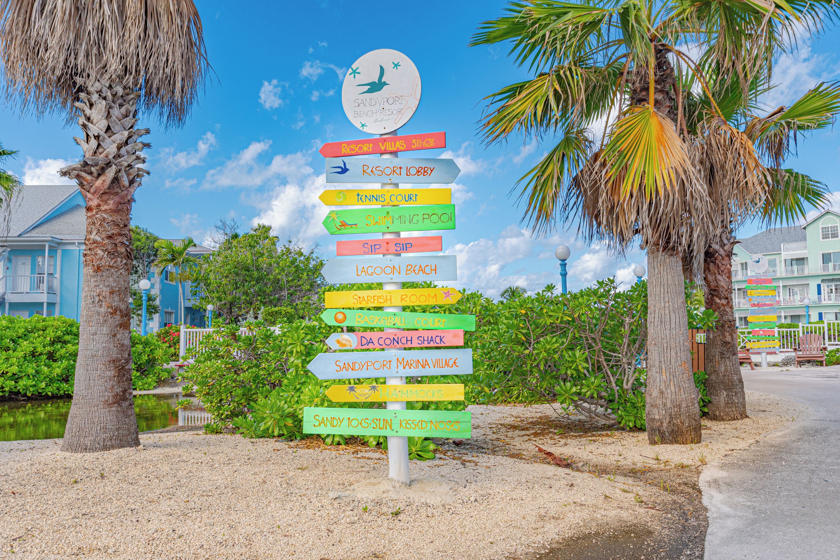 A colorful signpost with various destination labels, surrounded by palm trees and a clear sky.