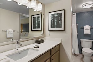 A bathroom with a sink, mirror, framed pictures, and a toilet. - BLOCK Blue Ridge Village 2br (Banner Elk)