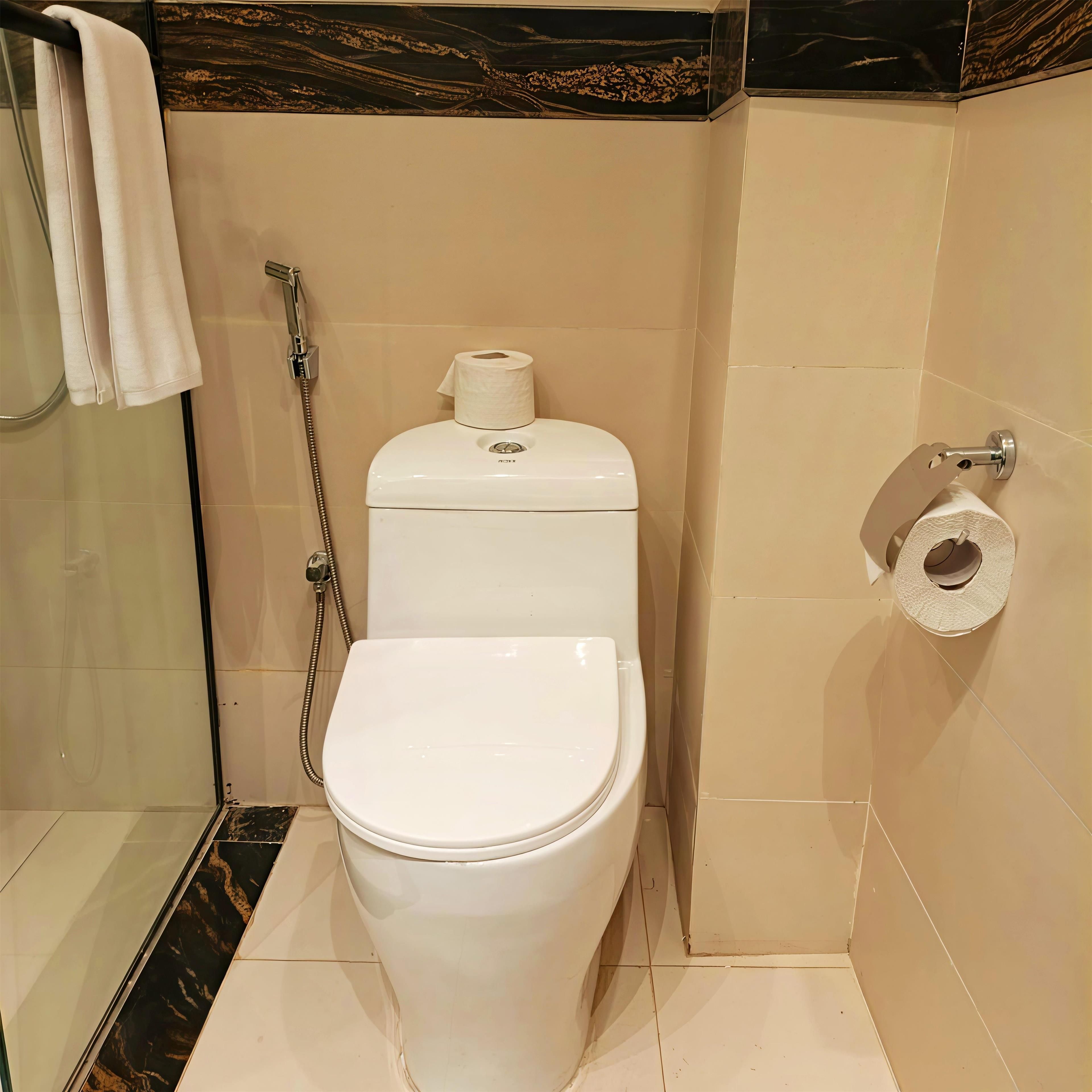 A bathroom with a toilet, a shower, and a toilet paper holder.