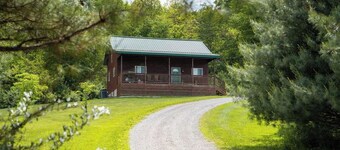 Secluded Cabin Villa With Hot Tub, Pond & Hiking