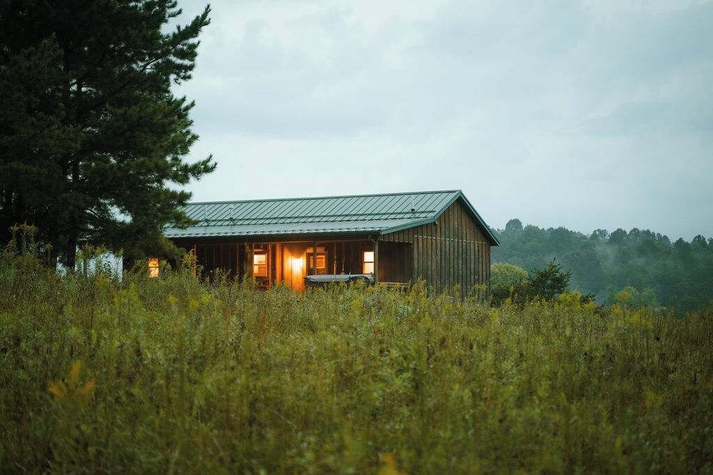 A rustic cabin with a metal roof, surrounded by tall grass and a large tree.