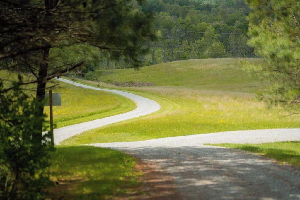A rural road curving through a grassy landscape with trees on either side.