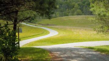 A rural road curving through a grassy landscape with trees on either side.