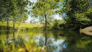 A calm body of water reflecting trees and a clear sky.
