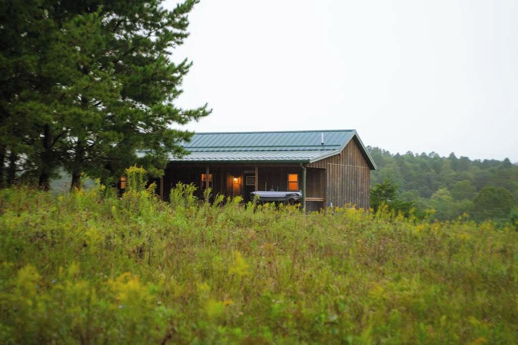 Une cabane en bois rustique, surmontée d’un toit en métal, entourée d’herbes hautes et d’arbres.