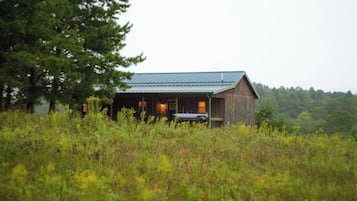Une cabane en bois rustique, surmontée d’un toit en métal, entourée d’herbes hautes et d’arbres.