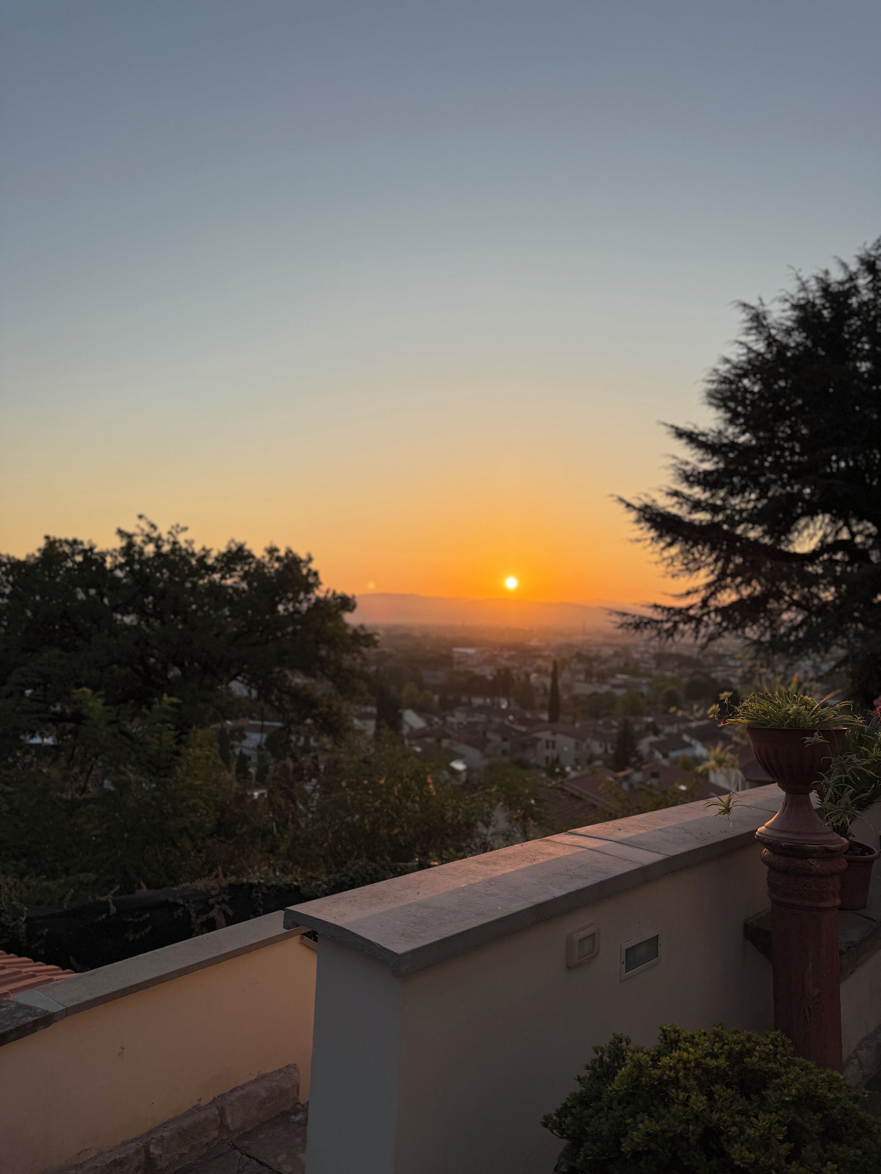 A sunset view from a balcony with a potted plant and a cityscape in the background.
