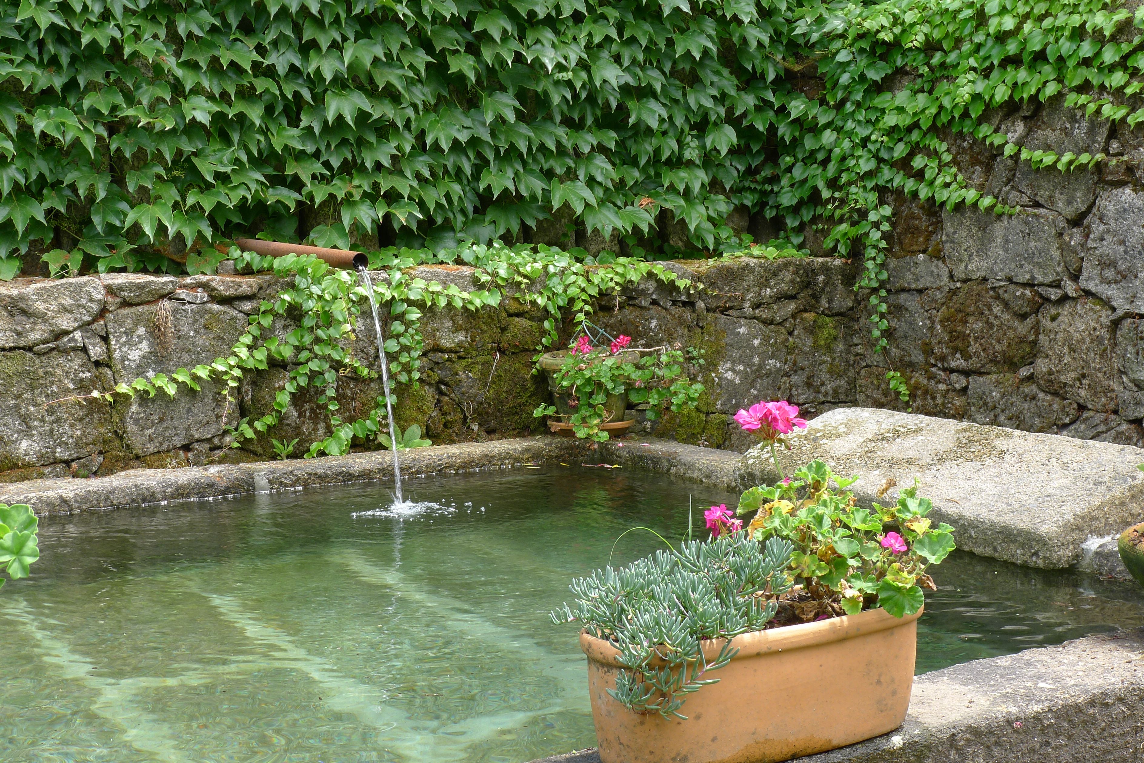 A stone wall with a small water feature and a potted plant with flowers.