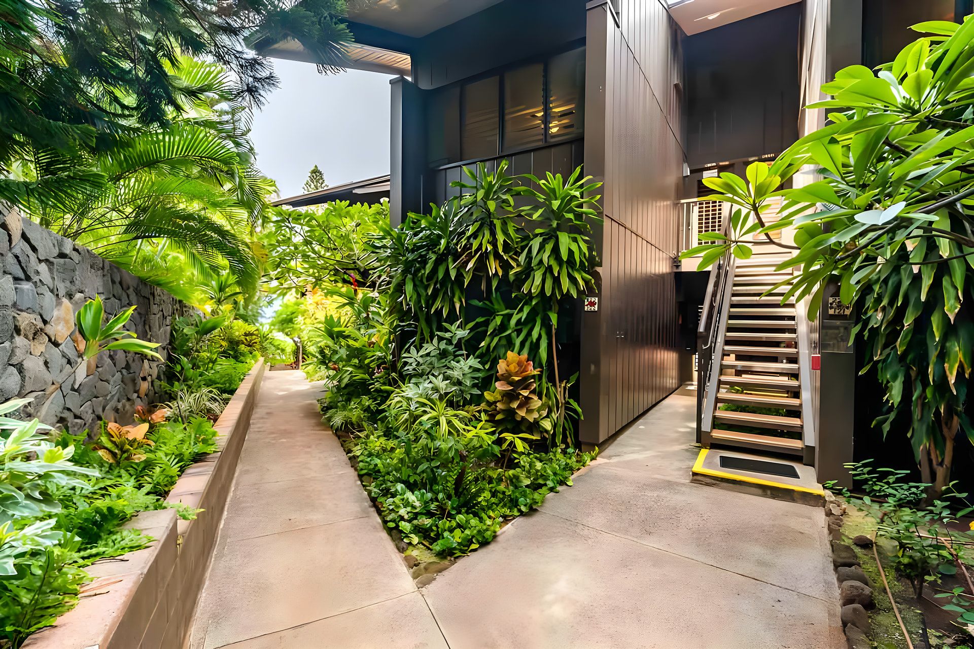 A narrow concrete pathway flanked by lush greenery and a stone wall, leading to a modern building with a wooden staircase.