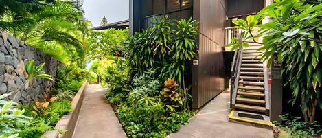 A narrow concrete pathway flanked by lush greenery and a stone wall, leading to a modern building with a wooden staircase.