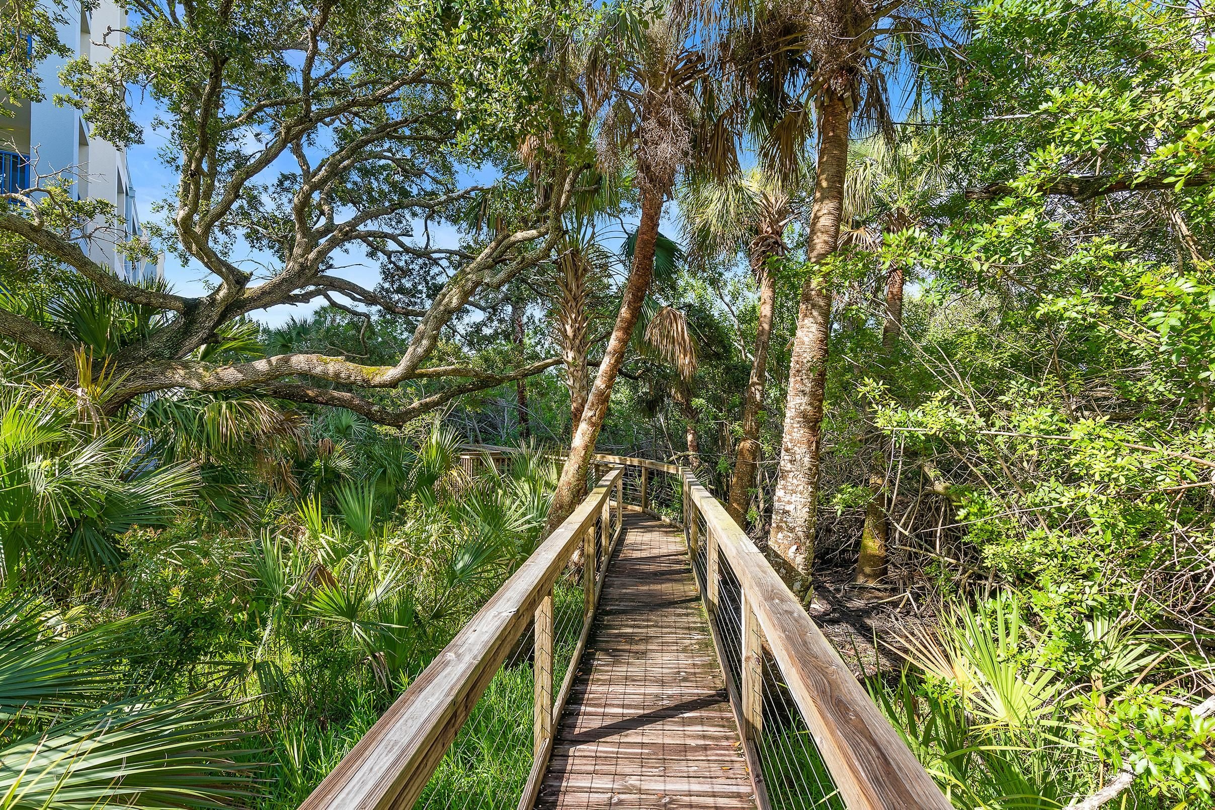 Condo, Multiple Beds (Oceanwalk 7-207) | Property grounds