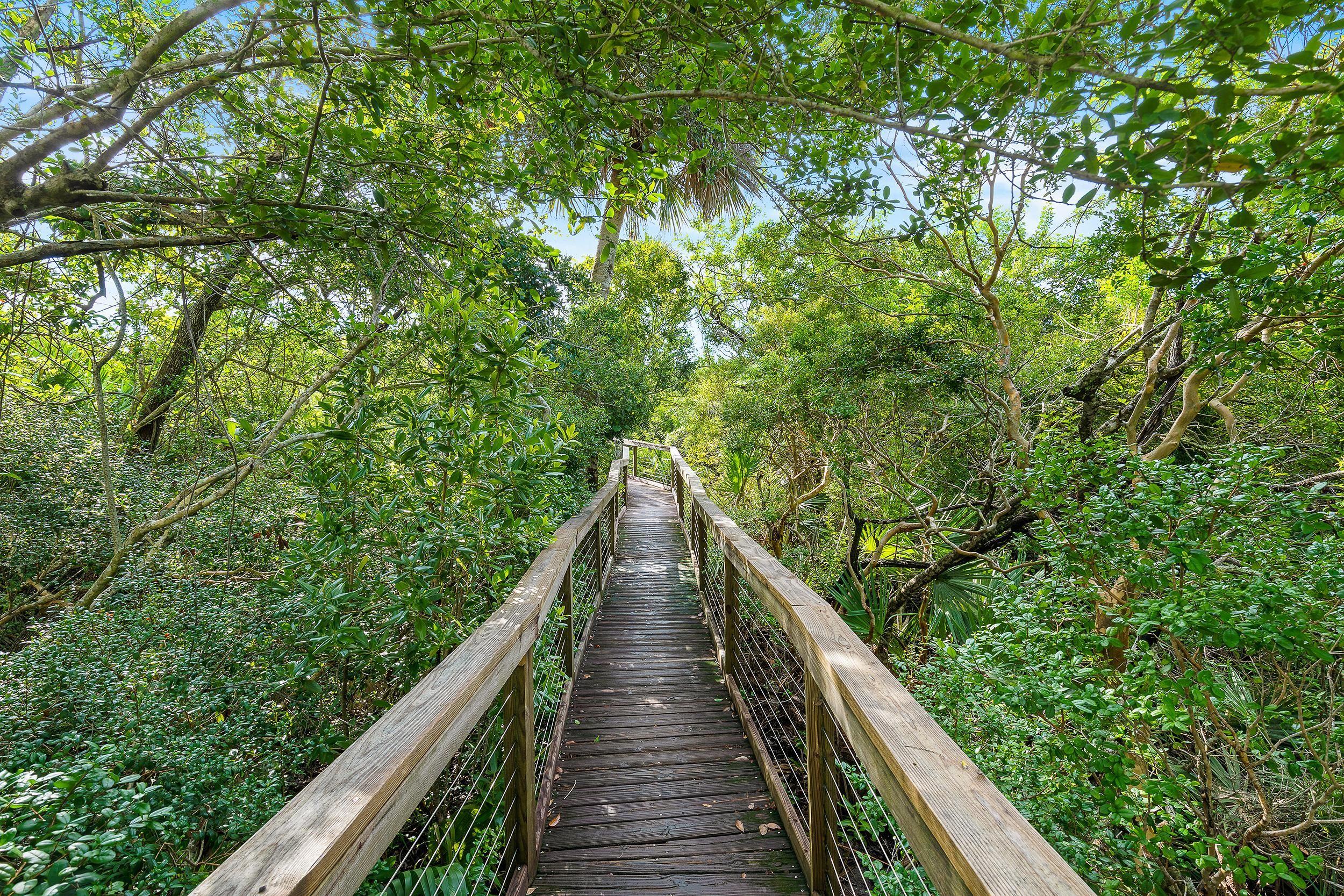 A wooden bridge surrounded by dense green foliage.