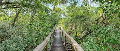 A wooden bridge surrounded by dense green foliage.