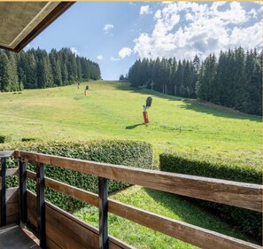 Property grounds - Le Chavaniou I T2 I Les Gets (Les Gets)
