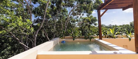 A swimming pool with a wooden pergola structure, surrounded by lush greenery.