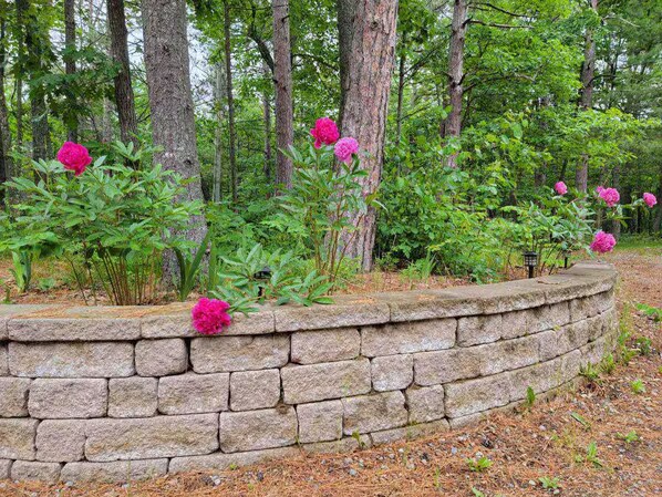 A stone retaining wall with flowering plants and trees in the background.