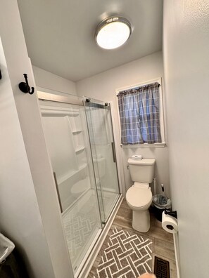 A bathroom with a glass shower enclosure, a toilet, a window with curtains, and a patterned rug.