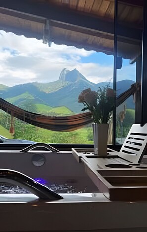 A hammock, a potted plant, and a view of mountains through a window.