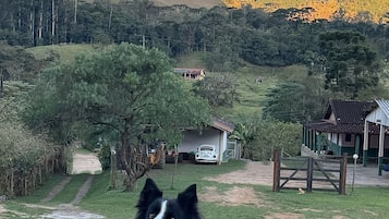 A black and white dog lying on grass with a mountainous landscape in the background.