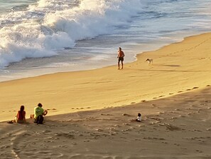 Une scène de plage avec des personnes et un chien, mettant en valeur un paysage sablonneux et les vagues de l’océan.